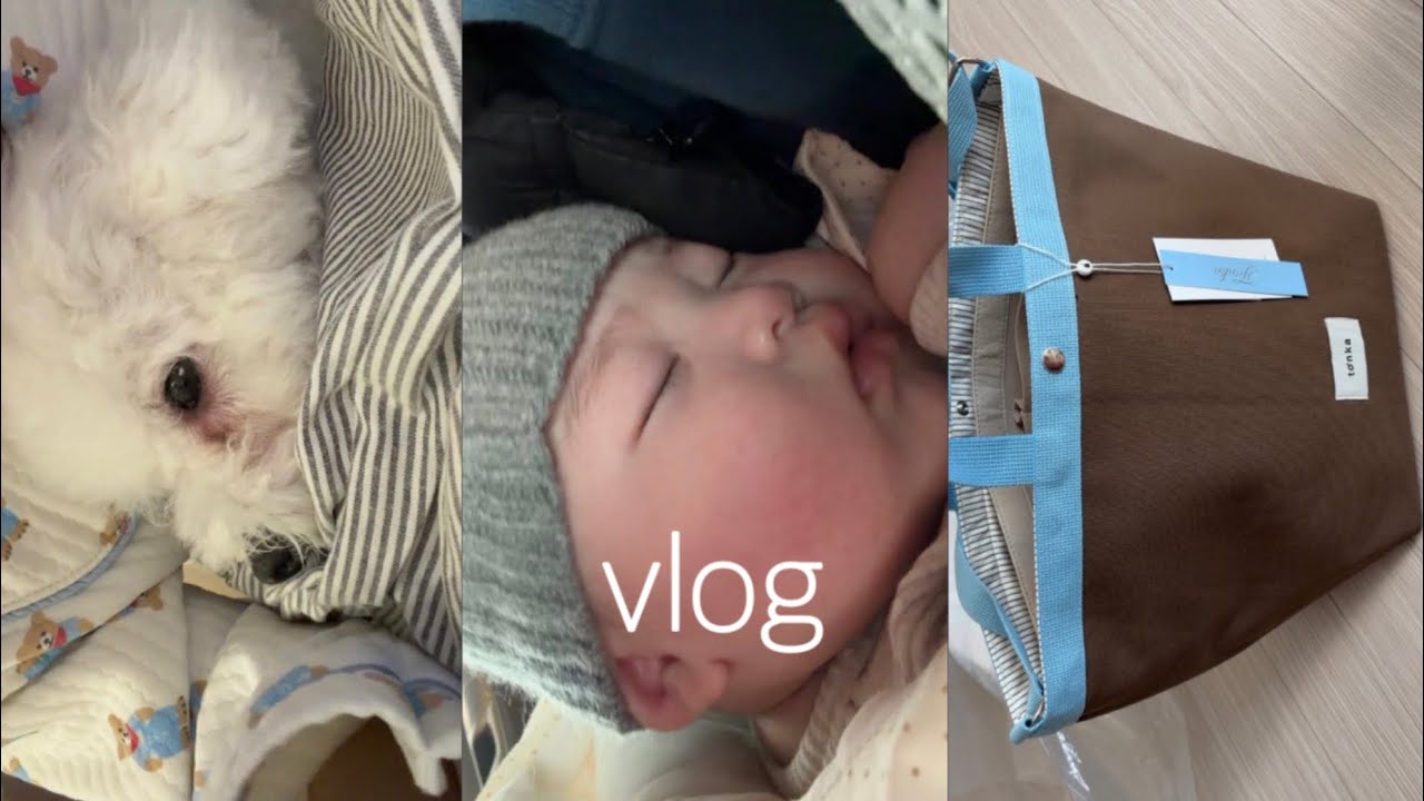 [vlog] 애개육아(애카, 톤카 기저귀 가방, 시루병원😭)