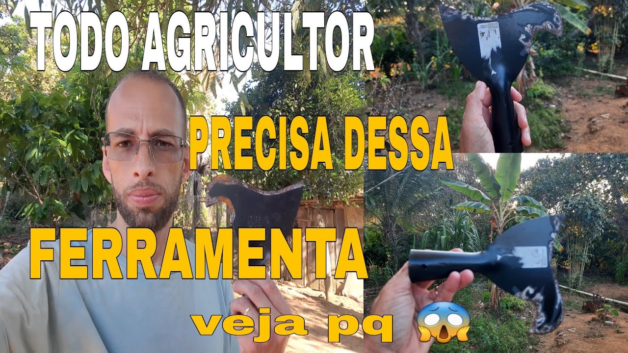 🛑 POD&Atilde;O PARA BANANEIRA (dicas do Evandro)😱😱😱