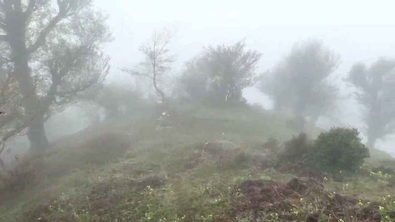 Iran Adventure and Nature (Gilan province part 4)