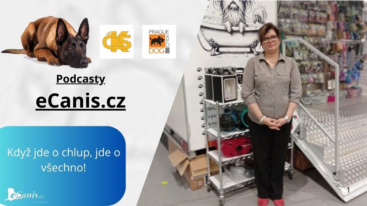 Když jde o chlup, jde o všechno!