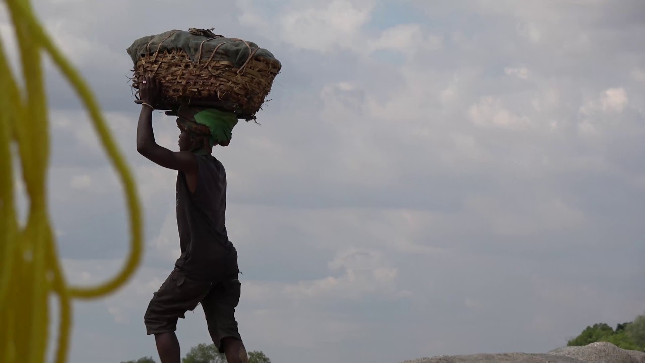Gems of the Living World - A Journey to Niassa