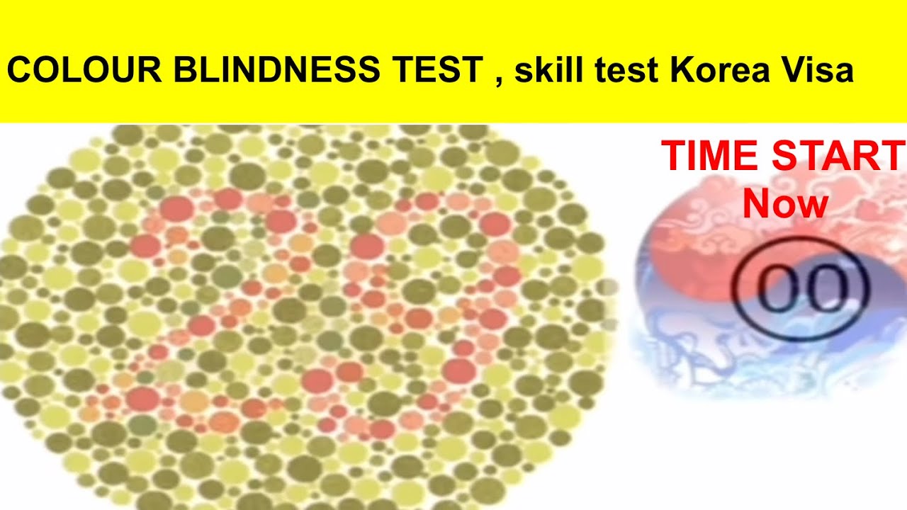 Colour Blindness Test , Skill test For Korea Visa | must watch |