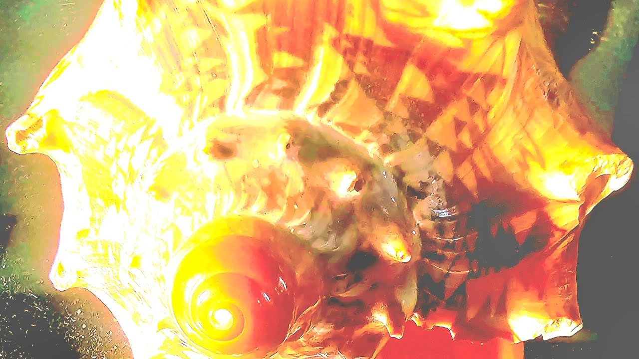 Psyl0z - Riiding - liquid DnB