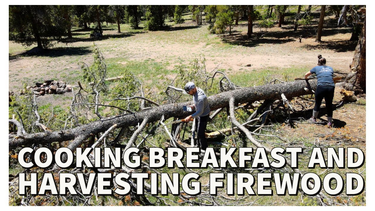 Camping Turquoise Lake Making Breakfast and Harvesting wood Part 4