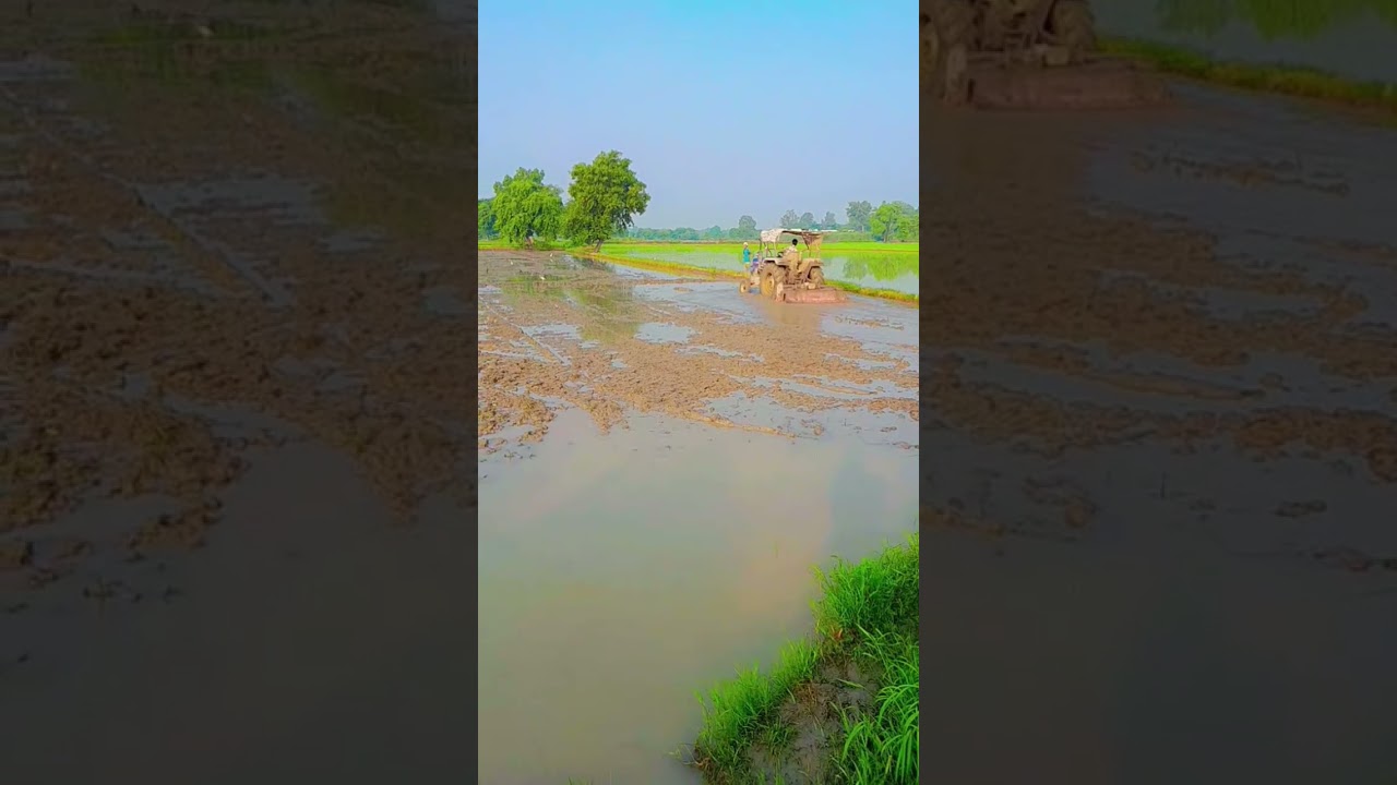 farmare 🚜 #farmare #shorts #subscribe