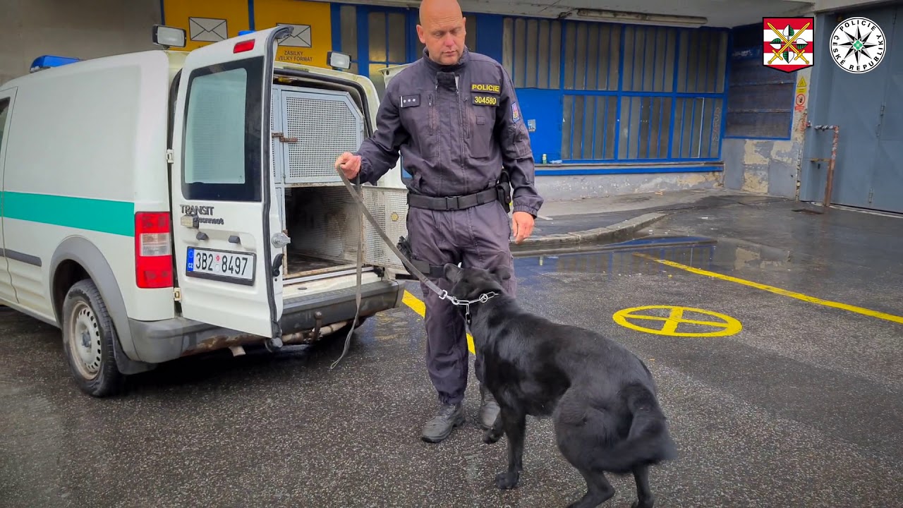 Policie ČR: Anonym už má jméno a je za mřížemi