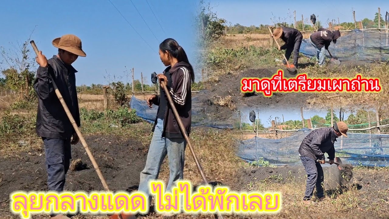 มาเตรียมที่เผาถ่าน มาดูว่าจะมีขี้เลื่อยให้เผาไหม  31 มกราคม ค.ศ. 2026