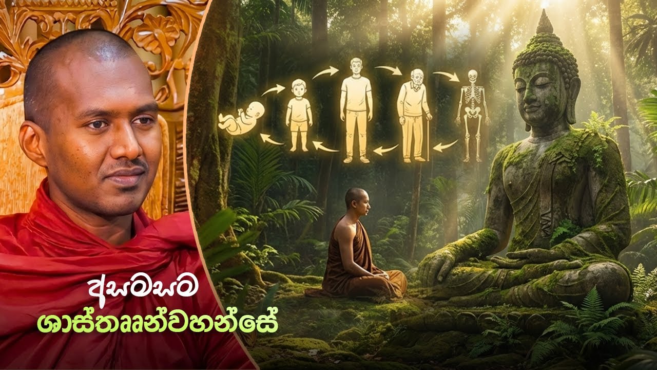 දැකගන්න. දැනගන්න. නිවෙන්න ~ 🛶