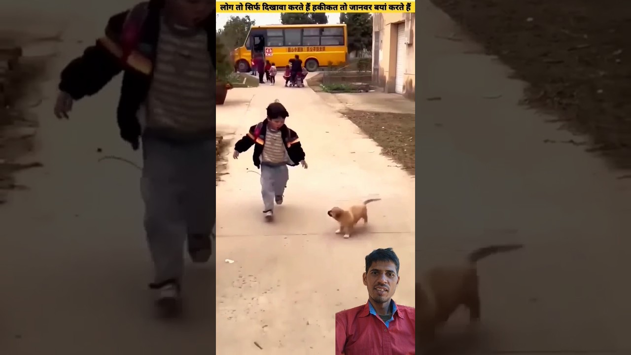 तेरे जैसा प्यार कहां l @BBB16520 #shortvideo #trending #short #Devbabu-123