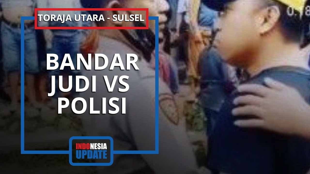 Duel Pejudi Sabung Ayam dan Polisi di Toraja, Pelaku Ancam Bunuh Petugas Pakai Pecahan Botol Bir