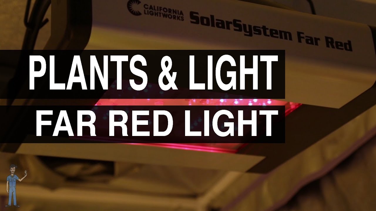 Far Red Light : Plants & Light #107