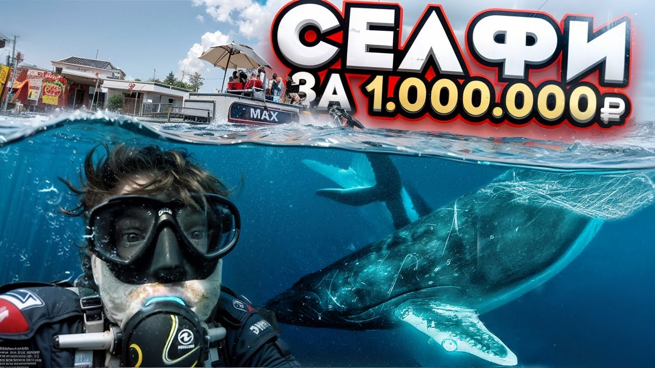 Тур к китам за 1 млн руб / Дайвинг с акулами / Самое дорогое селфи / Тонга