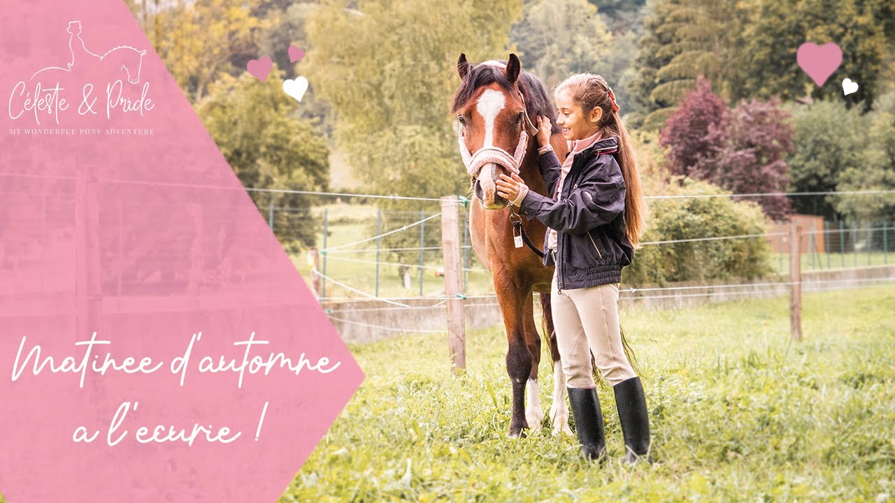 Une matinée d'automne aux écuries avec nous !