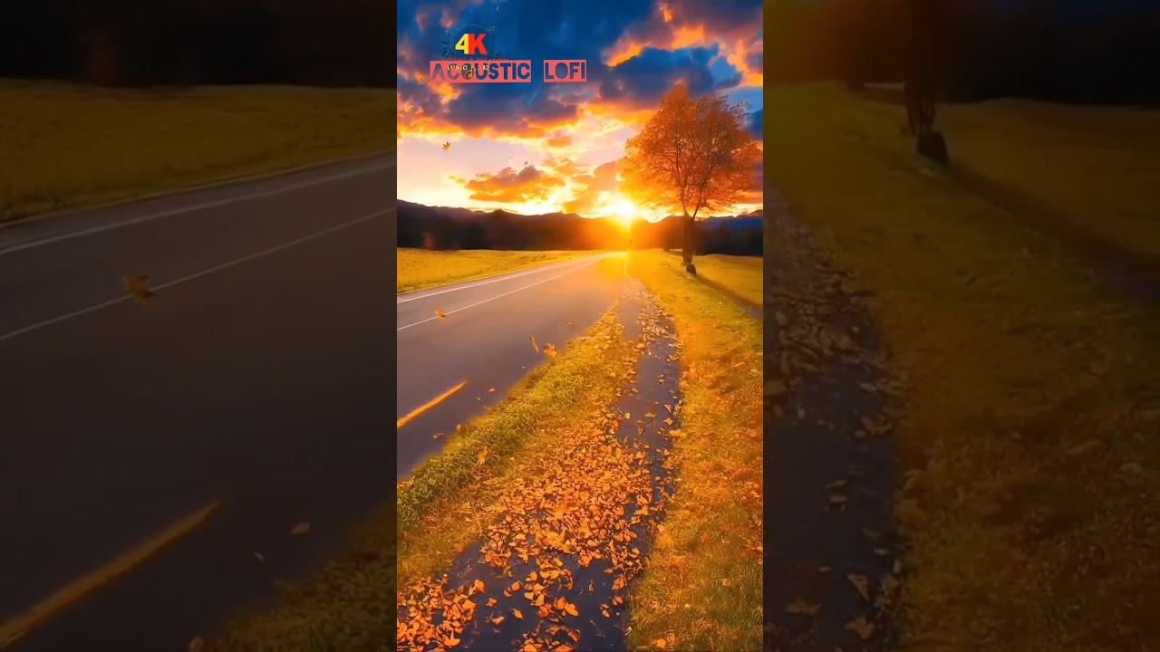 📚 Gentle Study Beats – Deep Focus for Work