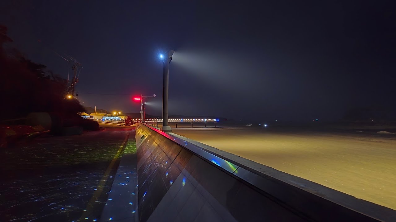 학암포 신두리 사구 20260301