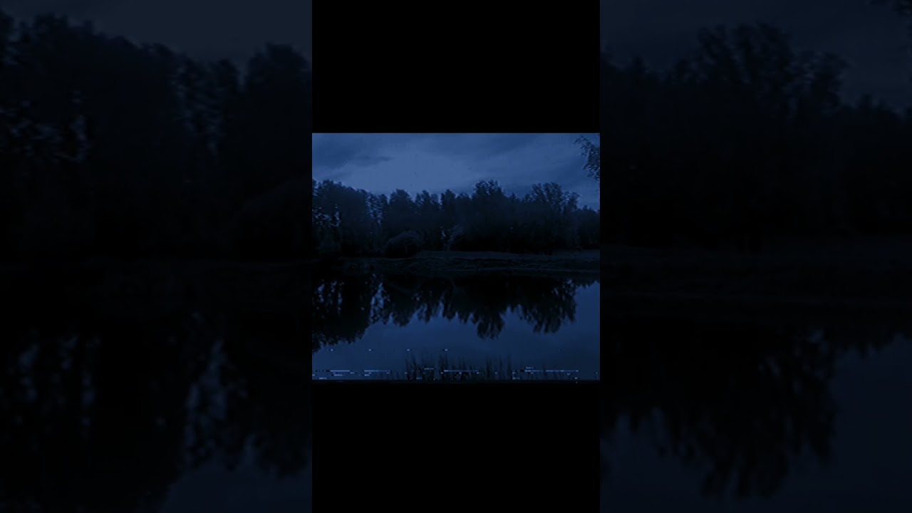 #darkambient #ambientmusic #gloomymusic #atmospheremusic #panic