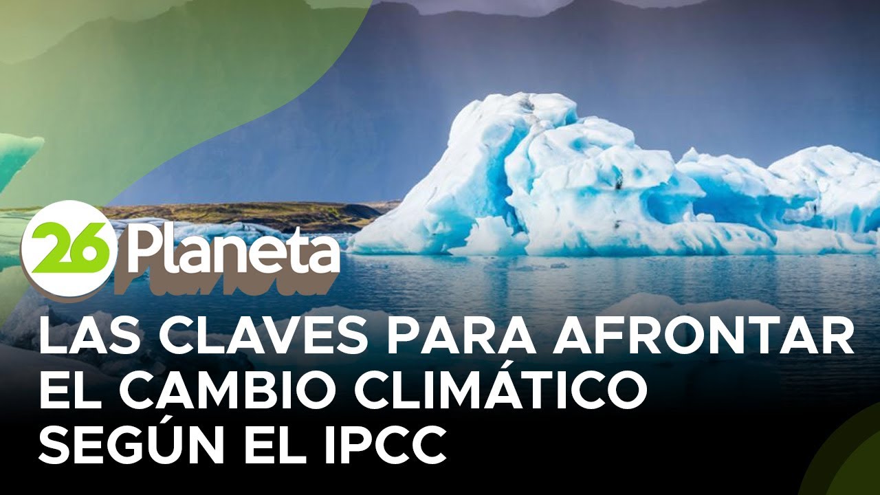 Las claves para afrontar el cambio clim&aacute;tico seg&uacute;n el IPCC