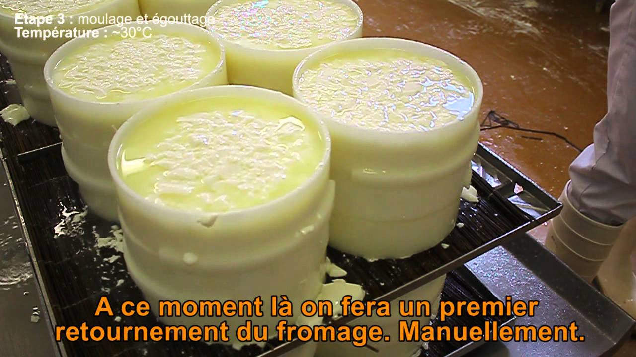 À la découverte du Brie de Montereau