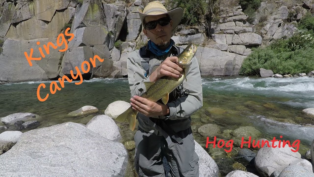 Out There Fishing #7 Kings river at Yucca point