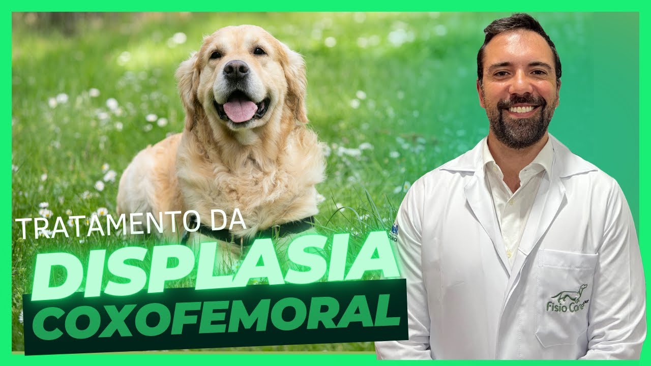 Entenda sobre o tratamento da Displasia Coxofemoral em cães