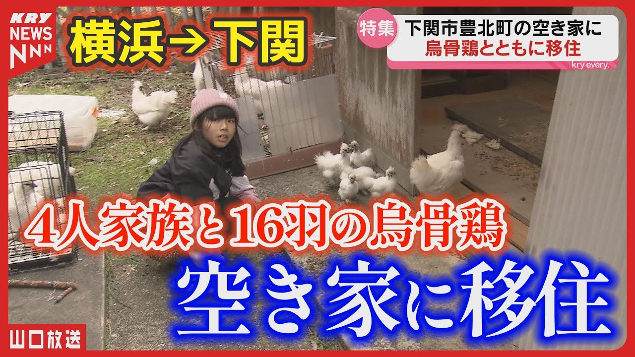 【移住】16羽の烏骨鶏と新生活！横浜から山口へ 家族の挑戦