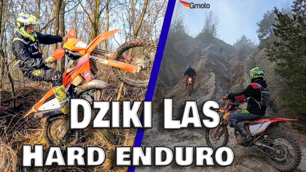 l Nieprzewidywalny Las i Hard Enduro l Crossowy off-road przez powalone drzewa ,błoto i piach l