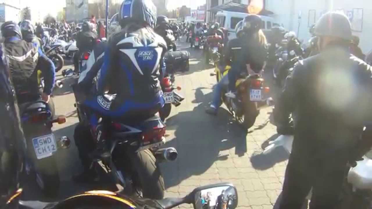 Pożegnanie burej suki 23.03.2014