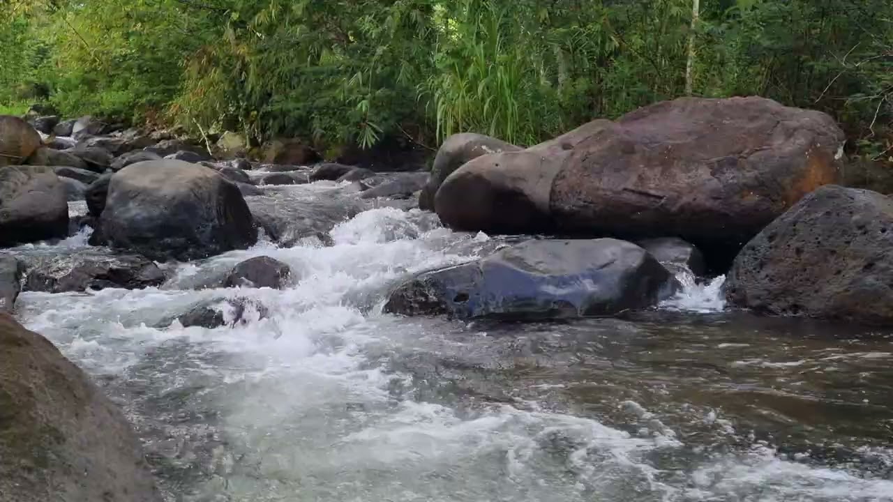 Stream Therapy for Focus • 1 Hour Gentle River Ambience to Enhance Concentration & Clarity 4K