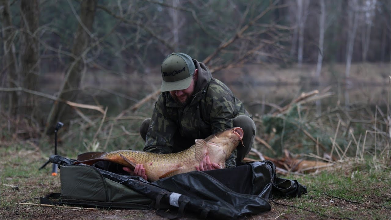 KOI LAKES I NOWOŚCI BOATMAN. CZĘŚĆ II
