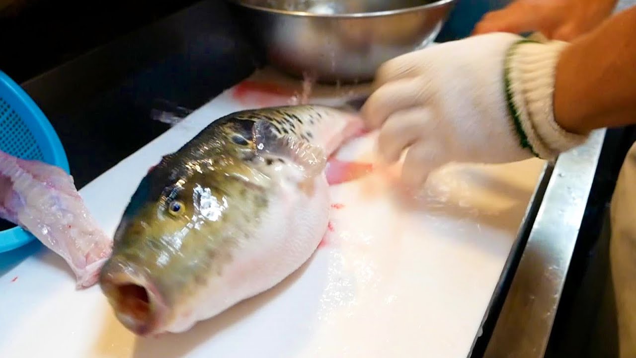 Блюда из морской рыбы японских мастеров! Ресторан фугу в Японии! Легкая цена
