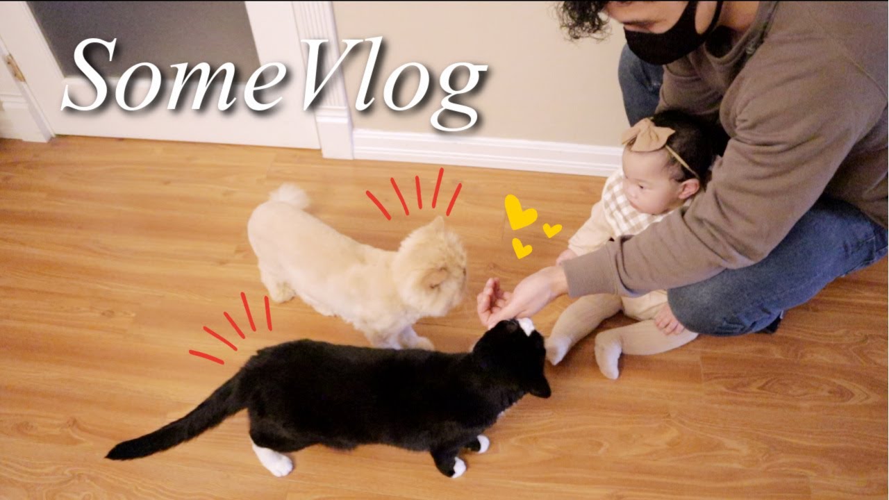 SomeVlog Ep.72｜一家五口團聚了👶🏻😽