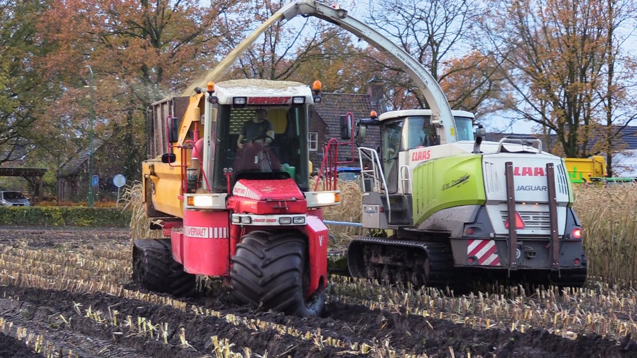 Maïs 2023 | Claas Jaguar 940 on tracks | Vervaet Track Trike | Prinoth Panther | DEWA | Wet Fields