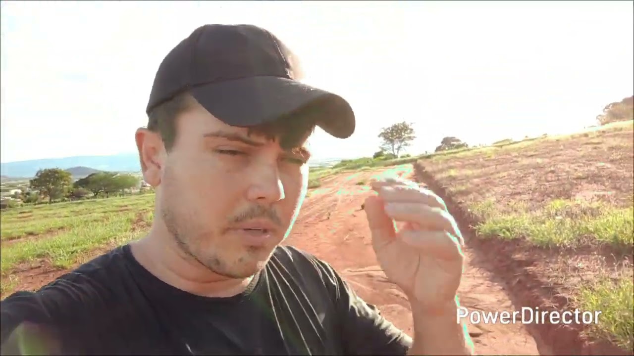 FUI MEXER NUMA CAIXA DE ABELHAS EUROPA - NÃO RECOMENDO