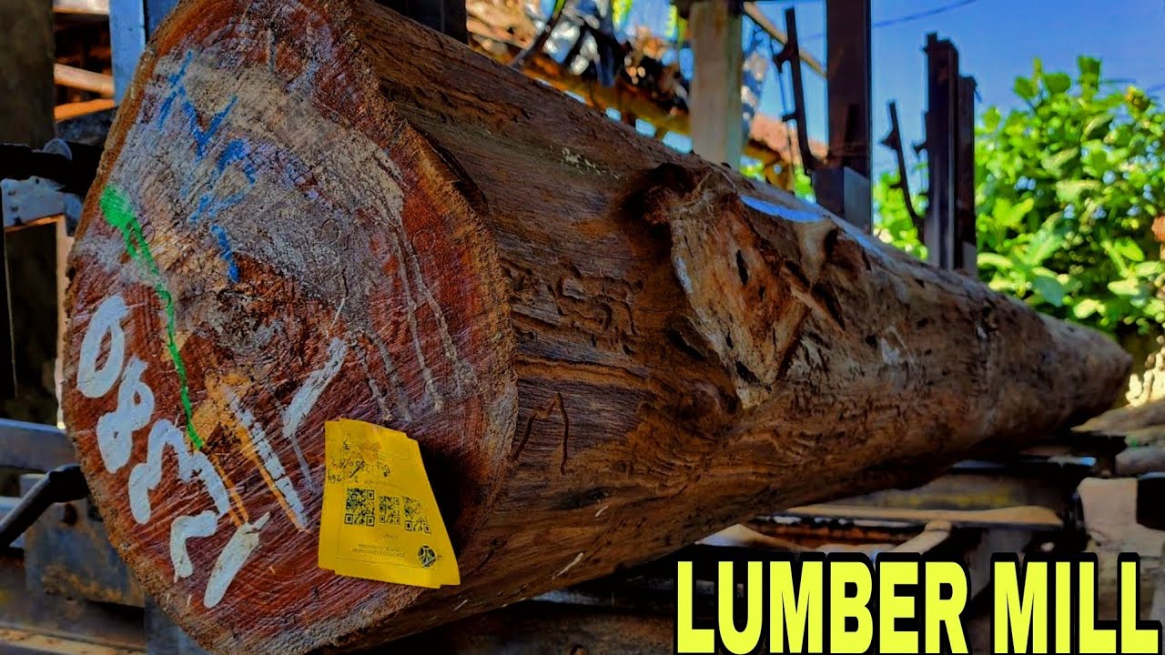 Watch This Giant Teak Log Turn into Perfect Export Lumber! // Lumber Mill