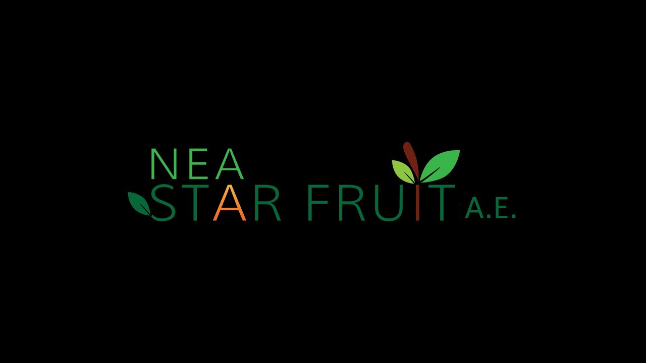 Studio Spiridis - Nea Star Fruit AE (2)