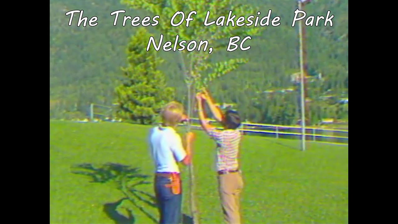 The Trees of Lakeside Park | Nelson BC Nature & History