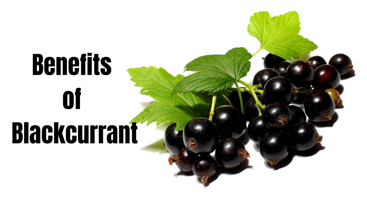 10 Health Benefits of Blackcurrant You Should Know.