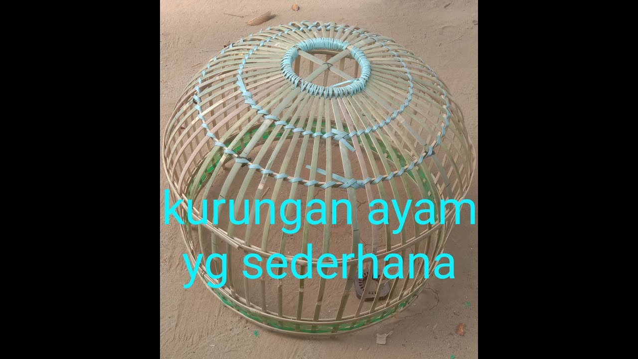 cara membuat kurungan ayam yang sederhana asal jadi dari bambu