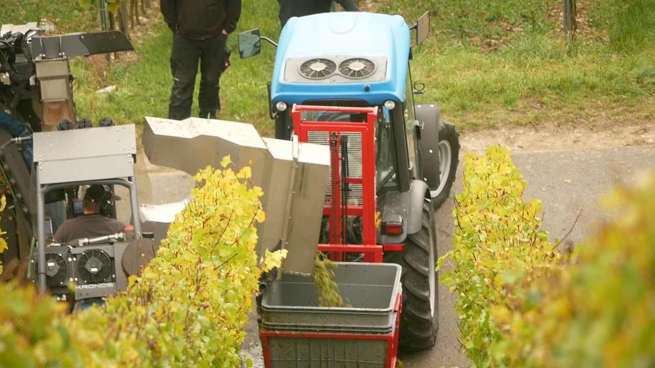 Geier Raupe mit Vollerntemaschine