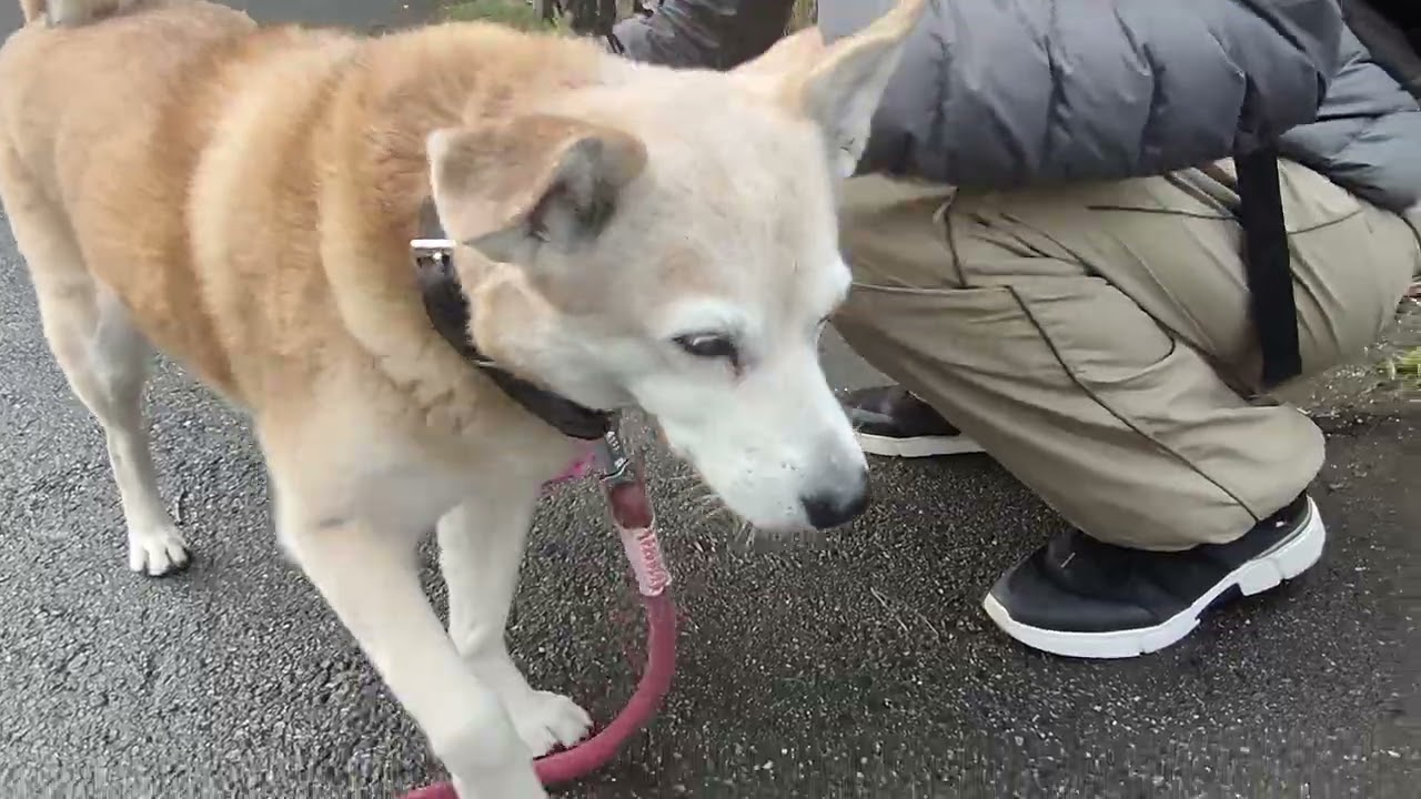前のめり　公園散歩　20260215am