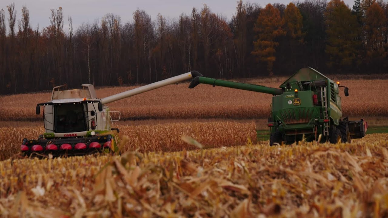 Wyjadacze hektarów 🌽żniwa kukurydzy🌽 Gr.Ludian John Deere w540 & Class Lexion 650