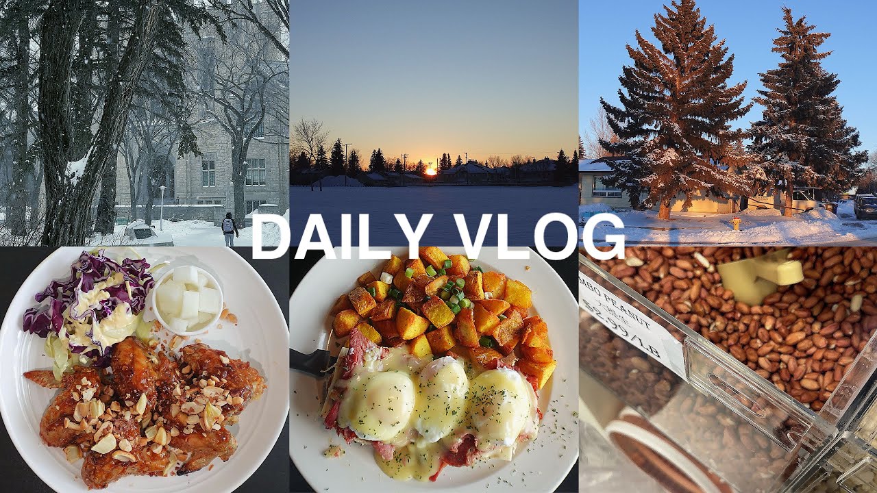 Daily Vlog: Snowfall, Trying New Restaurant, Groceries & Cooking 