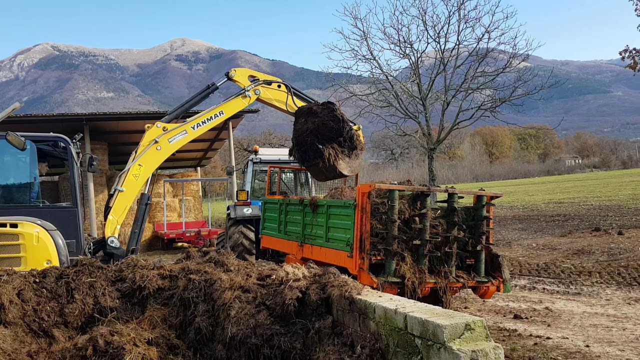 Carico letame| Yanmar vio57|Landini 9880