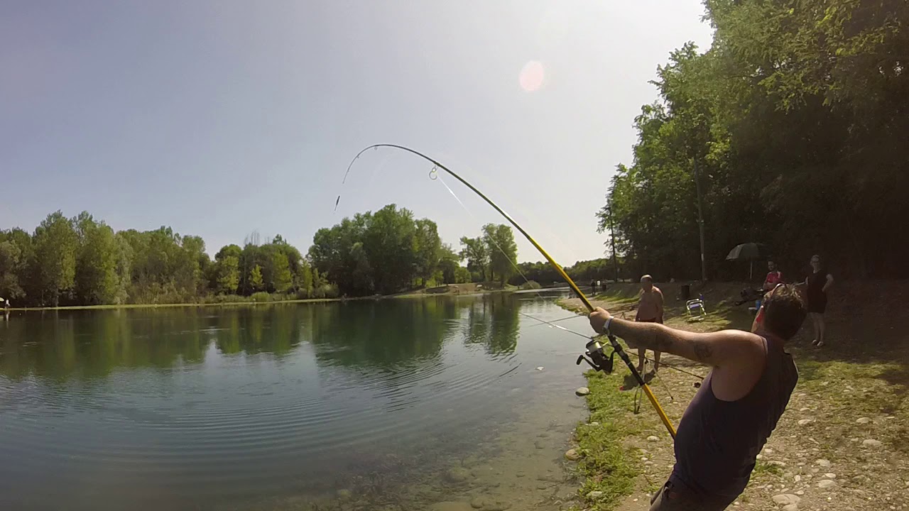 grosso storione di 98 kg catturato al lago dei gabbiani somma lombardo