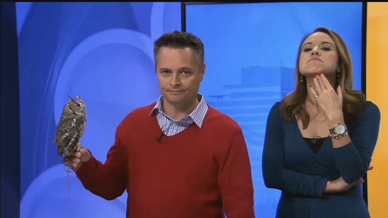 Live With Lee & Hayley: Honoring Our Military At Salato Wildlife
