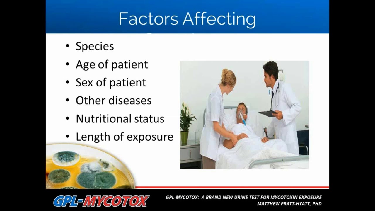The MycoTOX Profile:  A Brand New Urine Test for Mycotoxin Exposure