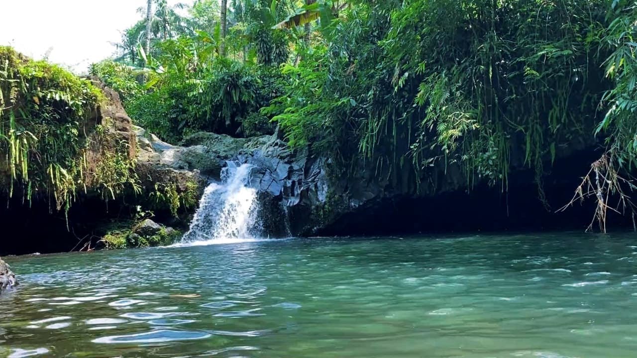 Waterfall Sounds in Forest | Gentle Stream Sound, Flowing Water, White Noise for Sleep