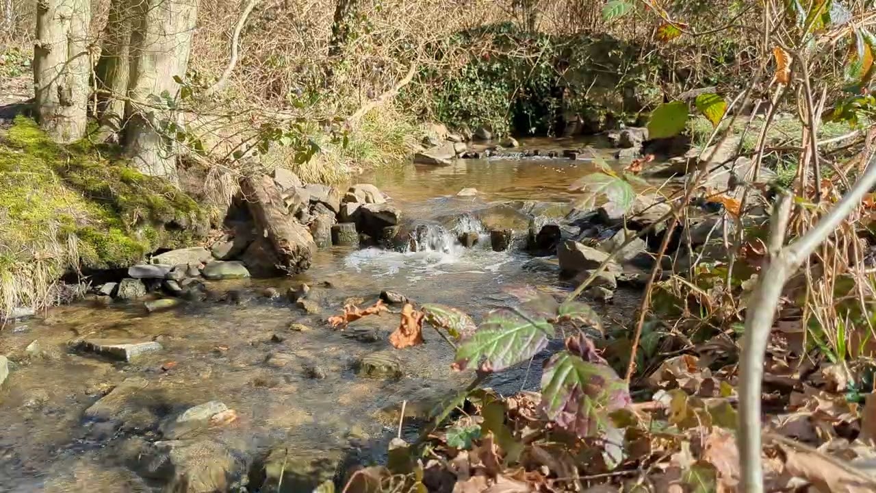 Water Meditation #2