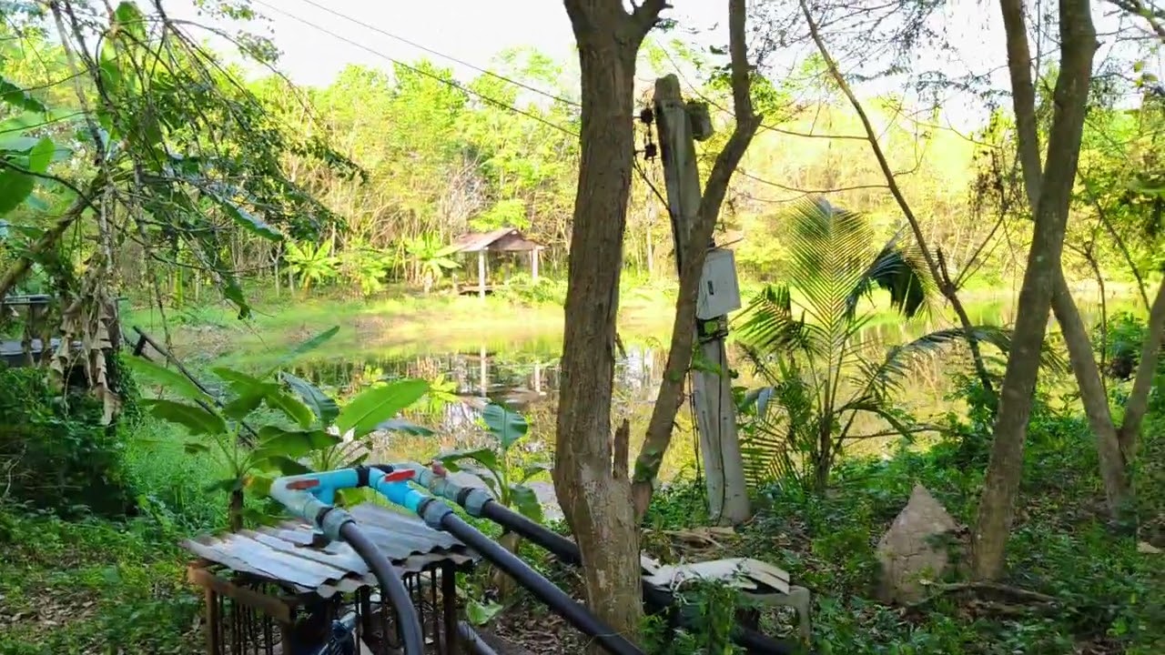 ที่ดินนครนายกบ้านสวนA Call0917756763
