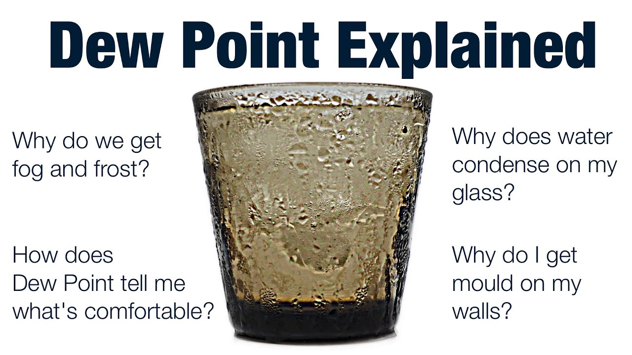 Dew Point Explained: How It Shapes Fog, Frost, Rain & Comfort